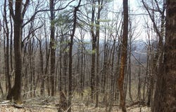 Mountaineer Way lot: 9, Fancy Gap, VA 24328