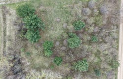 Hampton Drive lot: 4, Gladwin, MI 48624