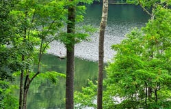 19 Emerald Road, Sapphire, NC 28774