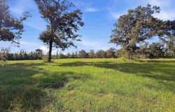 N Brickyard Rd, Hammond, LA 70403