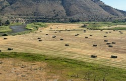 65061 Highway 64, Meeker, CO 81641