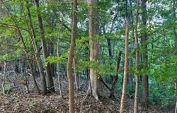 4783 Randolph Road, Edmonton, KY 42129