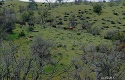 Ellen Blue Rd, Caliente, CA 93518