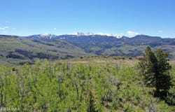 818 Webb Peak, Edwards, CO 81632