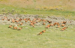 TBD County Road 57, Hayden, CO 81639