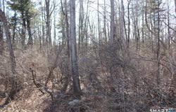 Ashley Drive, Goshen, CT 06756