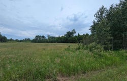 Shenfield Road, Turner, MI 48765