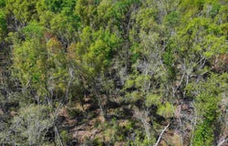 NE Champion Loop, Lee, FL 32059
