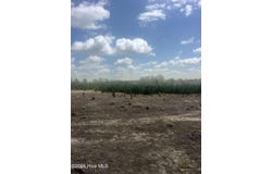 1711 Currie Mill Road lot: Tract 3, Jackson Springs, NC 27281