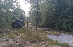 Beaver Lake Court, Wilmer, AL 36587