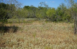TBD 1 CR 236A, Milano, TX 76556