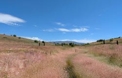 2187 Apple Lane, Mesa, ID 83643