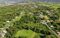 Juncos, Juncos, PR 00777