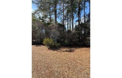 2001 Spring Valley Ct., Loris, SC 29569