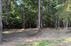 3715 Split Rail Way lot: 1123, Guild, TN 37340