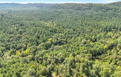 14 AC CHICOT Trail, Bismarck, AR 71929