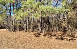 506 Pecan, Maud, TX 75567