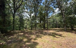 McBride Cemetery Road, Sardis, TN 38371