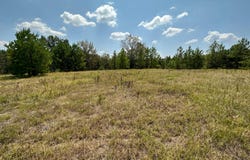 Ford Road, Many, LA 71449
