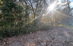 NE 14TH Street, OCALA, FL 34470