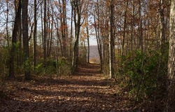 Overlook Dr. lot: 38, Spencer, TN 38585