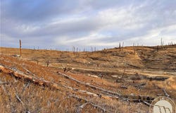 Buckskin Road, Roundup, MT 59072