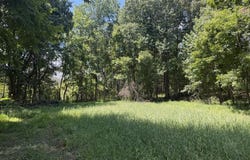 Country Road 428, PARIS, MS 38949