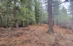 NKA Terry Trail, Priest River, ID 83856