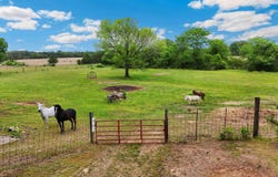 1402 36 Highway, Mount Vernon, AR 72111