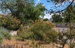 9209 Layton Avenue NE, Albuquerque, NM 87111