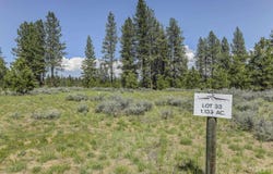8 Targhee Court, McCall, ID 83638