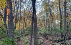 Oak Drive, Three Rivers, MI 49093