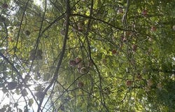2002 State Route 67, Valley Falls, NY 12185