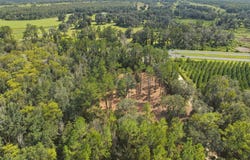 3621 E Capps Highway, Lamont, FL 32336