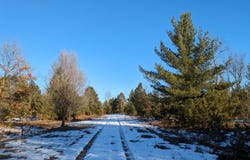 Bergstrom Drive, Kaleva, MI 49645