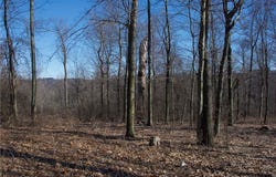 Audubon Road, Sewickley Heights, PA 15143