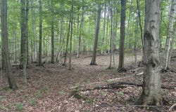 18611 St. Pierre Road, Arcadia, MI 49613
