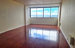555 Pierce St, Albany, CA 94706