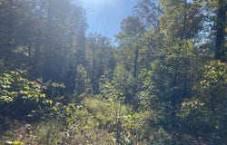 Jensen Road, Mountain View, AR 72560