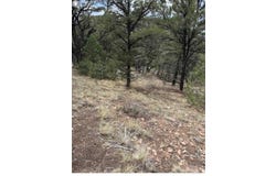 13th Trail, Cotopaxi, CO 81223
