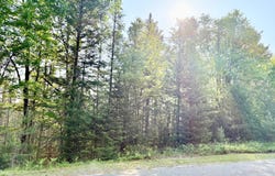 ON MOENS LAKE DR, Rhinelander, WI 54501