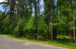 7395 TIMBER LN lot: 182, Minocqua, WI 54548