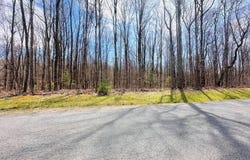 123 LEEDS LN, SHADY SPRING, WV 25918