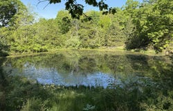 13080 County Road Ee, Cabool, MO 65689