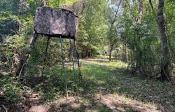 ## Cedar Creek Estate Road, Lucedale, MS 39452