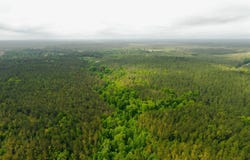 6045 Highway 21 North, Shuqualak, MS 39361