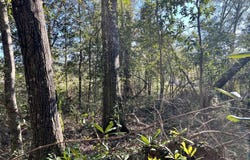 7940 LeBaron Avenue, Citronelle, AL 36522