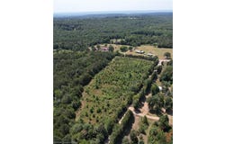TBD Tract 1 Restful DR, Mulberry, AR 72947