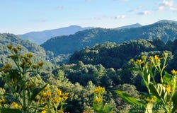866 Georges Gap Road, Vilas, NC 28692