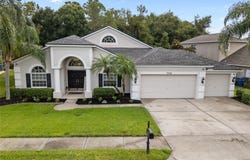 7729 ARELLI Drive, TRINITY, FL 34655